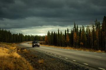 car on the road goes through the autumn forest at the evening