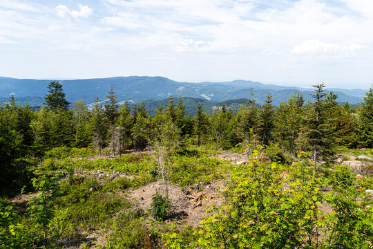 Lothar Path is a forest experience and educational path in the Schliffkopf Nature Reserve