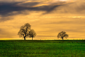 Burg Braunfels in Hessen im Herbst, ist immer eine Reise wert © Jørgson Photography