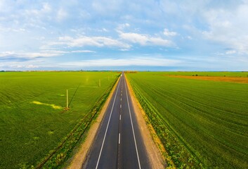 Summer landscape with green field with traffic on the road