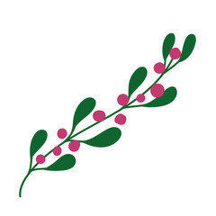 foliage leaves berry floral plant icon isolated design