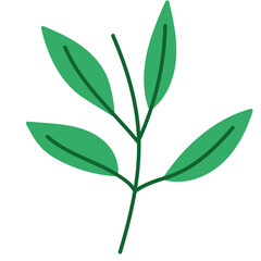 natural branch leaves plant foliage icon design