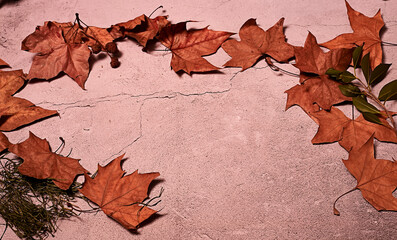 Autumn leaves on cracked ground