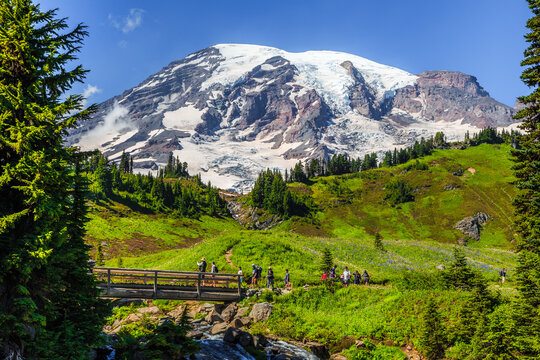 Mountain Rainier From The Skyline Trail, Paradise Valley, Mt Rainier National Park, Washington