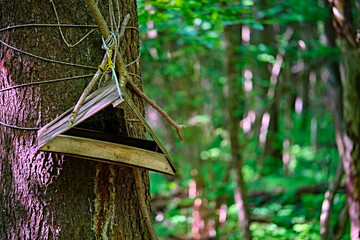 Feeder for squirrels and birds in the park that is in the city. general plan