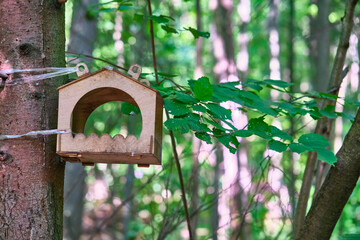 bird feeder in the city park. general plan. color