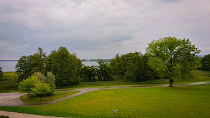 Fototapeta premium Beautiful green landscape with trees and grass and gray sky in background