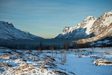 Fototapeta premium Famous Ersfjord on the Kvaløya Island, Norway
