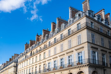 Paris, the beautiful Rivoli street.