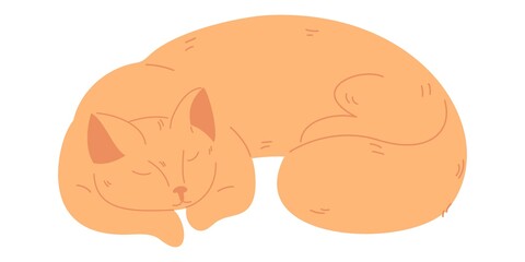 Peach cat sleeping isolated on white. Cartoon vector illustration
