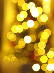 Obraz premium Bokeh out of christmas tree lights