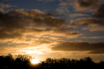 Fototapeta na wymiar sunrise peeping above the treeline, blue sky and illuminated clouds