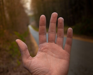 hands on the forest