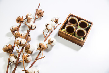 Dry branches of cotton on white. Empty space