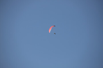 microglider in sun