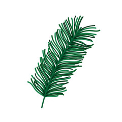 branch pine tree foliage nature icon design