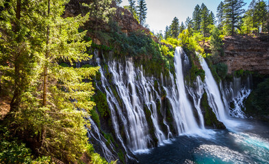 Majestic Burney Falls, Shasta-Trinity National Forest, California