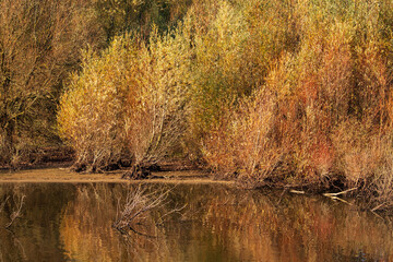 autumn landscape in the lake