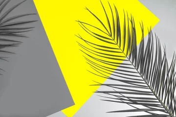 Trendfarben 2021 demonstrieren - Grau und Gelb. Tropische Blätter auf geteiltem abstraktem Hintergrund. © Anna Efetova
