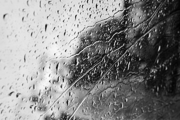 gotas de agua de lluvia en vidrio en blanco y negro