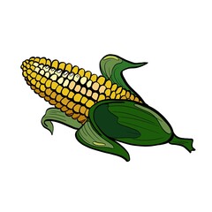 Corn 