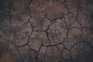 Cracked earth texture