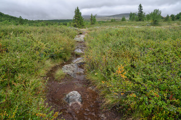 Trail across the rainy Norwegian tundra