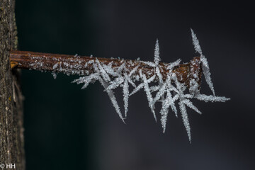 Frosted Iron Nail on a Wooden Post