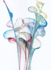 Art abstract flowers .Hand watercolor painting on paper.