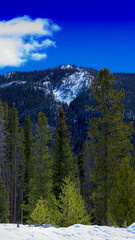 Bottom of Rocky Mountains, CO, USA. Snow. Green fir trees.