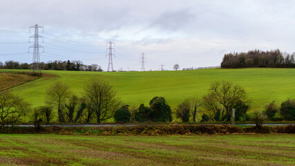 Fototapeta na wymiar Row of trees and hedges across green fields in winter with electricity pylons in background.