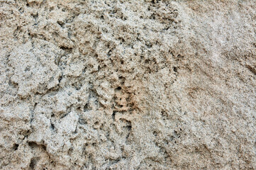 textured background, natural limestone copy space