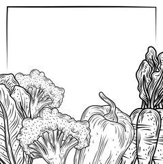 vegetables pepper carrot broccoli and lettuce food fresh organic, hand drawn style