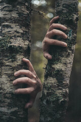 Creepy Conceptual Hands Grabbing Tree In Horror Forest