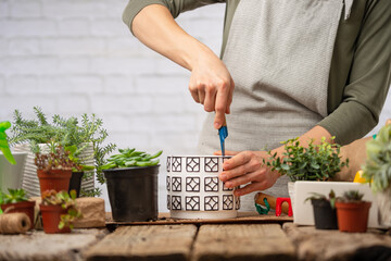 The woman gardeners preparing ceramic pot for transplant indoor flower on white background. Concept...