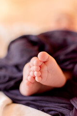 Close up detail of newborn baby feet and toes
