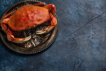 Plate with appetizing cooked crab on marble dark blue background. Delicious meal. Seafood concept. View from above. Space for text. Flat lay.
