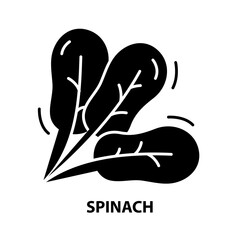 spinach icon, black vector sign with editable strokes, concept illustration
