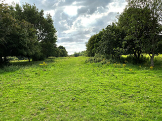 Obraz premium Sloping grassland, with large old trees, and a cloudy sky near, Bradford, Yorkshire, UK
