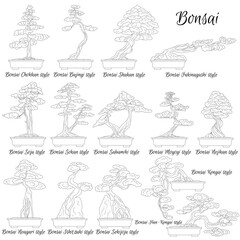 Bonsai. Different styles of miniature trees. The art of growing dwarf plants.