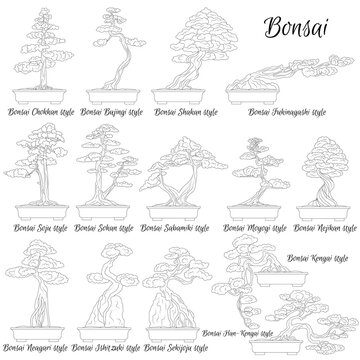 Bonsai Tree Styles Guide: Japanese Art of Gardening Infographic Outlines