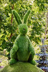 easter bunny in the grass