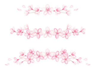 Fototapeta na wymiar 水彩で描いた桜のラインセット