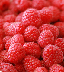 Guest raspberries. Pattern with red berries