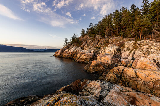 Shore Pine Point at sunset in Lighthouse Park - West Vancouver, BC Canada