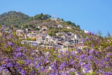 Residential hillside in Taxco