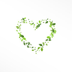 Grassy Foliage Ecology Vector White Background 