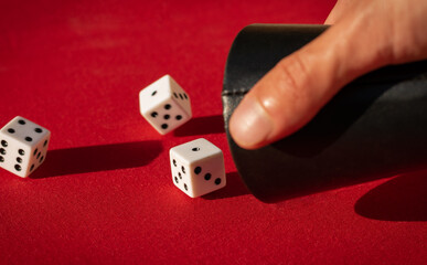 dice on the red table