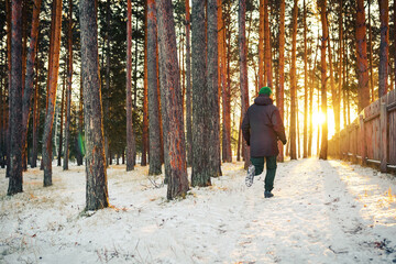 person walking in winter forest