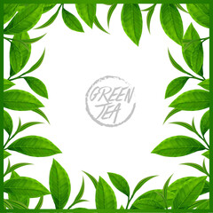 The Premium green tea for good health vector illustration.